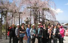 Gallery GROUP TOUR JAPAN 7 img_3158